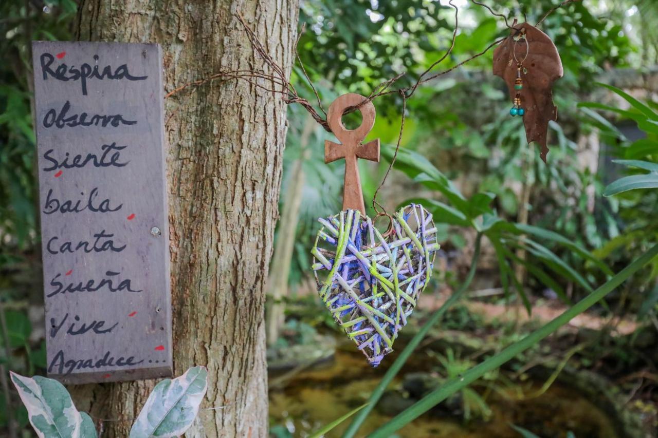 La Aldea Holistic Experience *