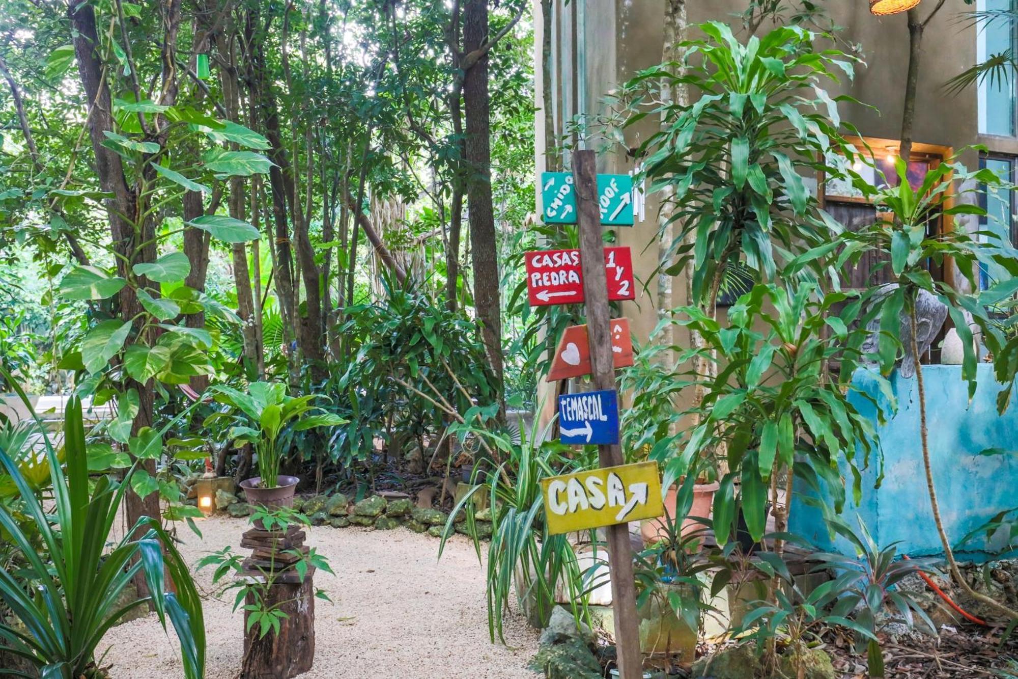 La Aldea Holistic Experience Guest house *