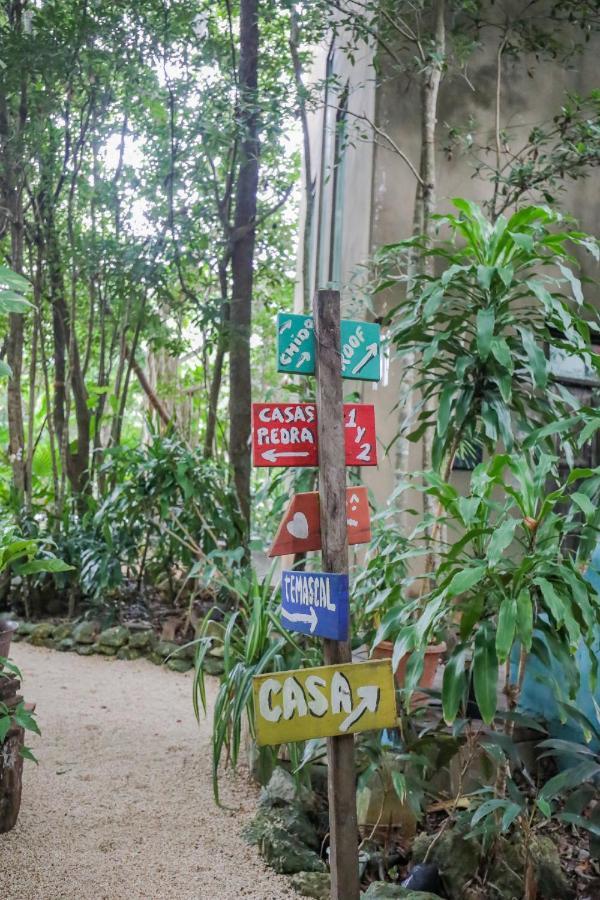 La Aldea Holistic Experience Guest house